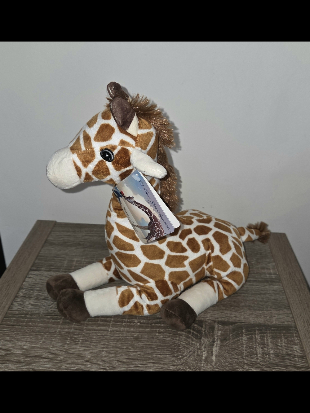 Kohls Cares Giraffe I’d Know You Anywhere Nancy Plush Stuffed Animal 11" 2012 SE